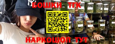 индика Бийск