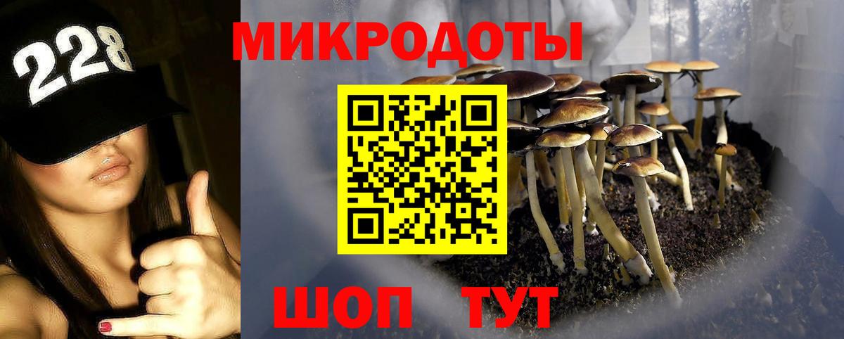 Санкт-Петербург  Псилоцибиновые грибы MAGIC MUSHROOMS  Вход с VPN 