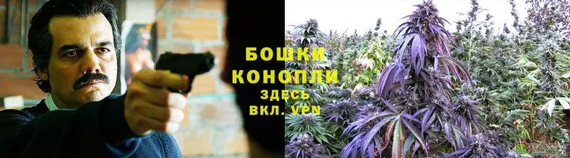 что такое наркотик  Санкт-Петербург  KRAKEN маркетплейс  Каннабис Ganja 