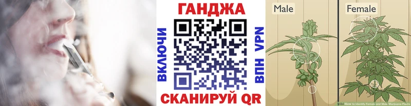 Каннабис индика  купить наркотики сайты  Санкт-Петербург 
